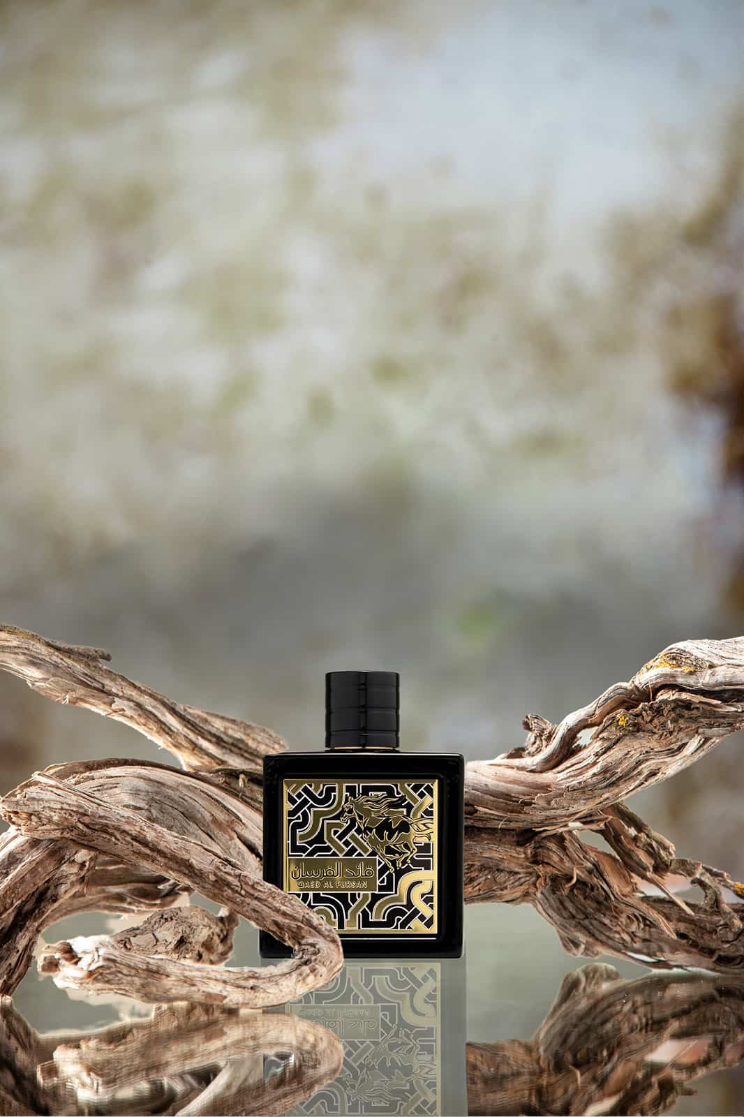 Fragrance That Lasts All Day